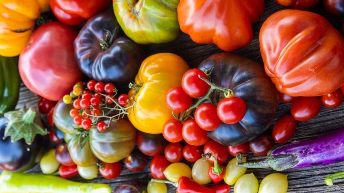 15 Profitable Homestead Side Hustles to Earn an Extra $1,000 Monthly - heirloom vegetable ss2361023811