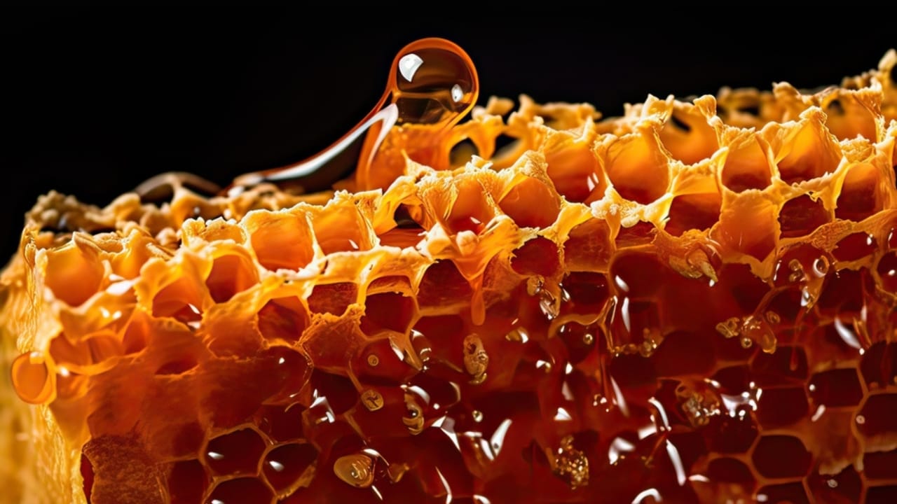 The Sweet Secret to Why Honey Never Expires - honey comb ss2281888751