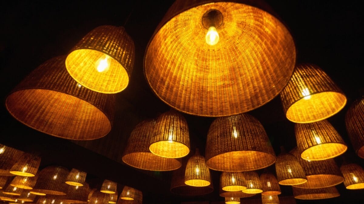 15 Household Appliances to Unplug During a Heatwave to Avoid Overheating & Surges - lamps dp314908980