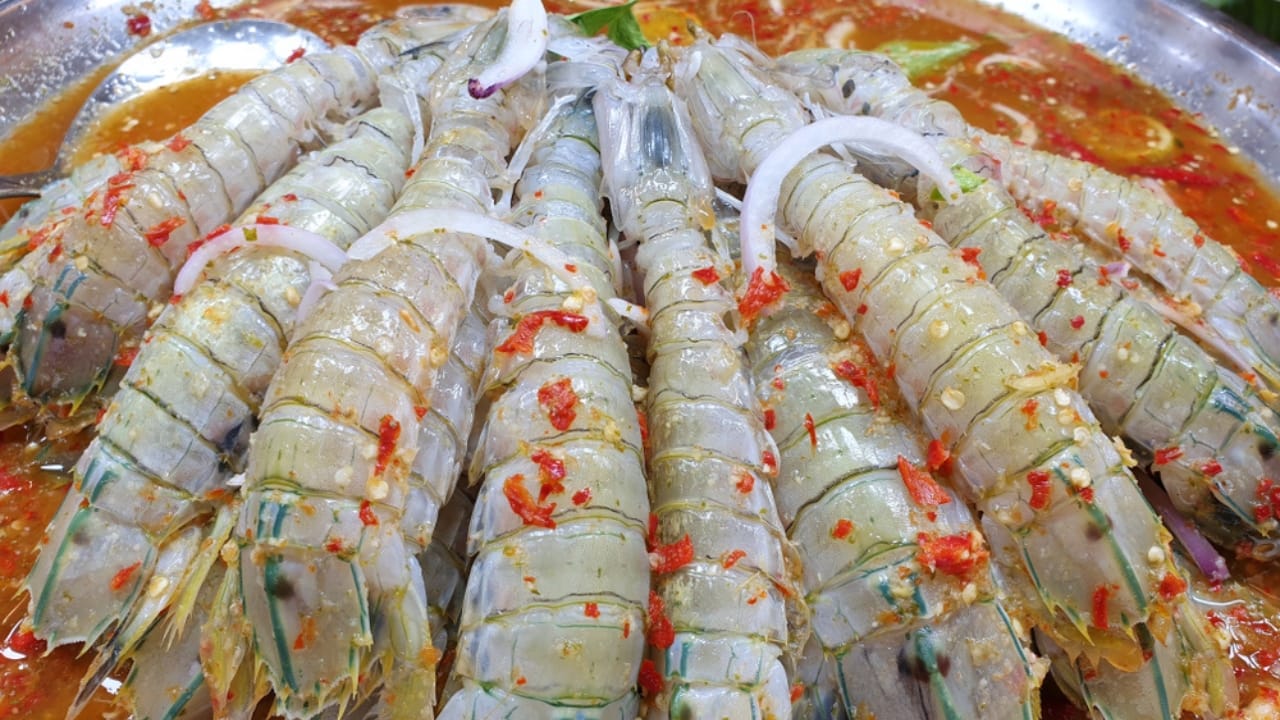 Meet the Mantis Shrimp, a Deadly Stunner with a Punch Faster Than a .22-Caliber Bullet - mantis shrimp delicacy ss1519382804