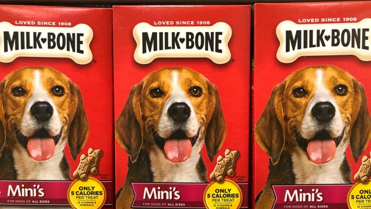 17 Dog Treat Brands with Ingredients to Steer Clear Of - milk bone treats ss1779494420