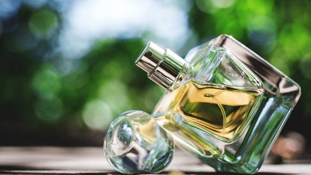 15 Everyday Smells That Dogs Wish Would Go Away - perfume dp164850852