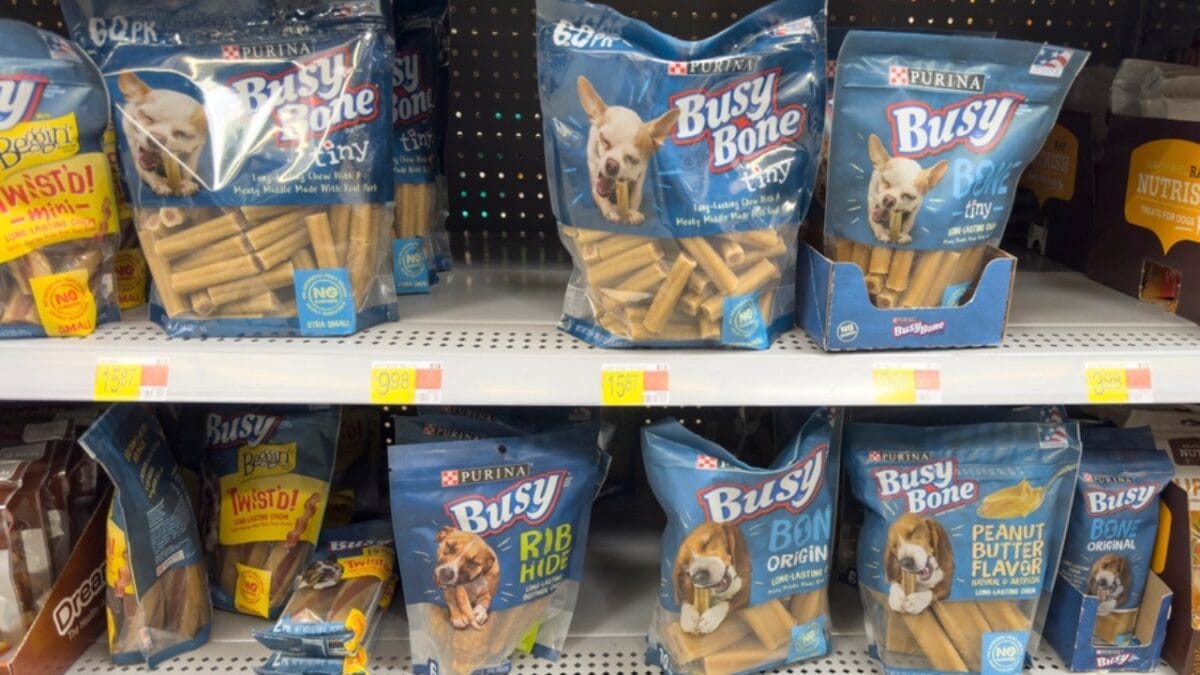 17 Dog Treat Brands with Ingredients to Steer Clear Of - purina busy bones treats ss2469760385