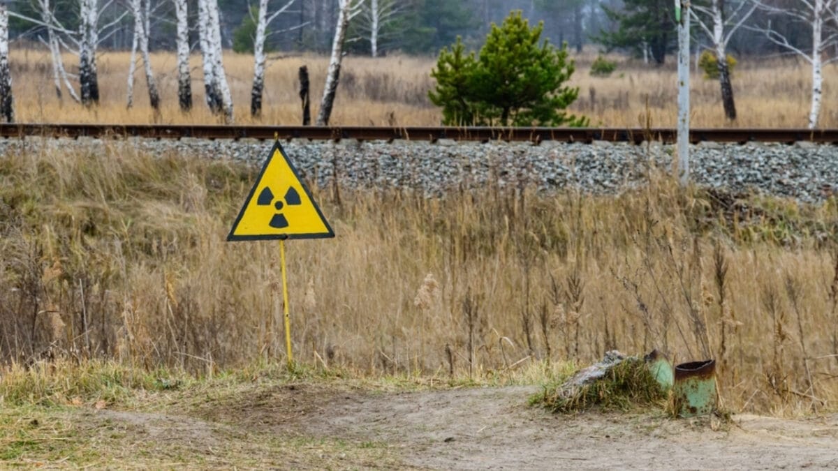Chernobyl's Songbirds Expose the Effects of Nuclear Radiation on Animals, According to Study - radiation sign ss2470268475