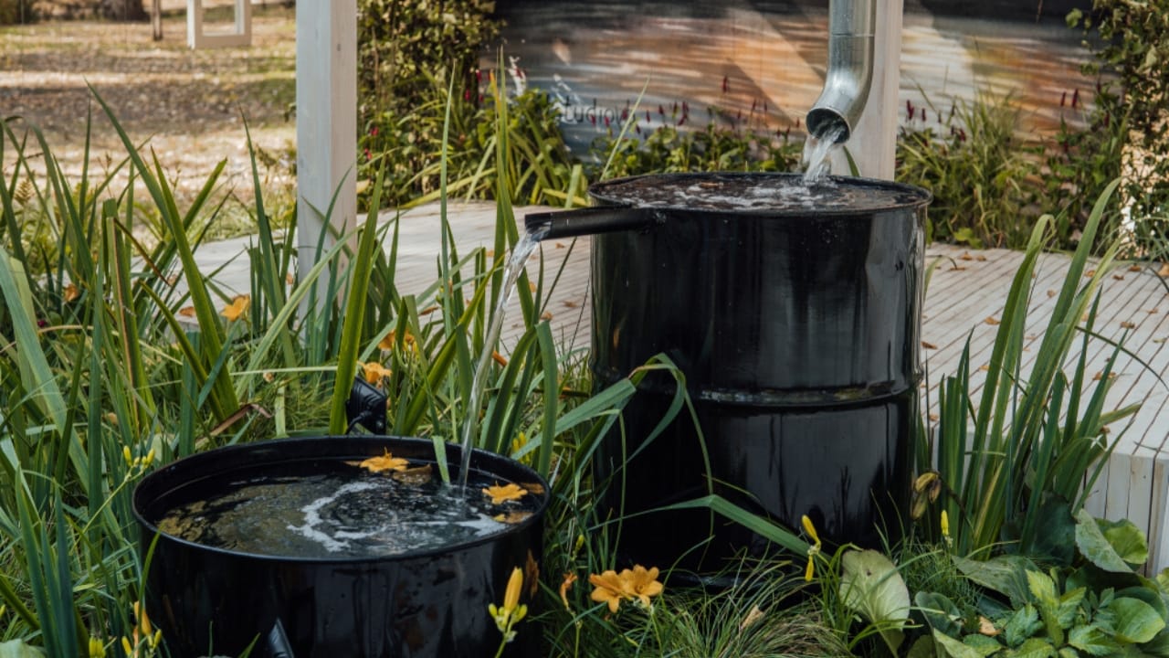 5 States Where Collecting Rainwater Might Get You in Trouble with the Law - rain water ss1498409357