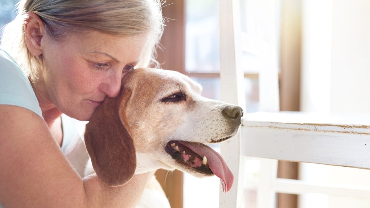 New Study Finds Petting Your Dog Before Leaving Can Reduce Separation Anxiety - senior dog woman dp72072007