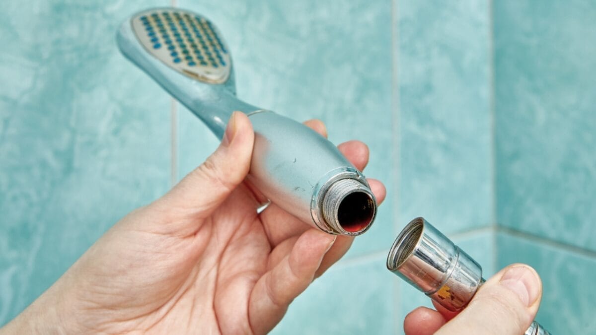10 Easy Steps to a Sparkling Clean Shower Head - shower head ss1970752607