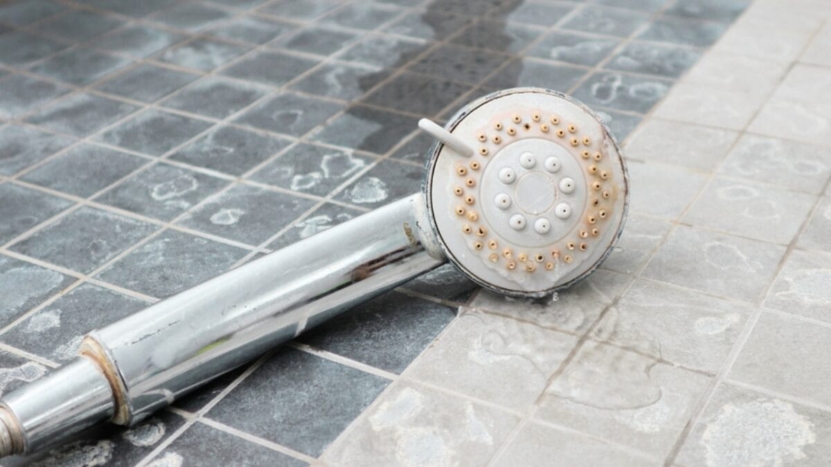 10 Easy Steps to a Sparkling Clean Shower Head - shower rinse ss2281256459