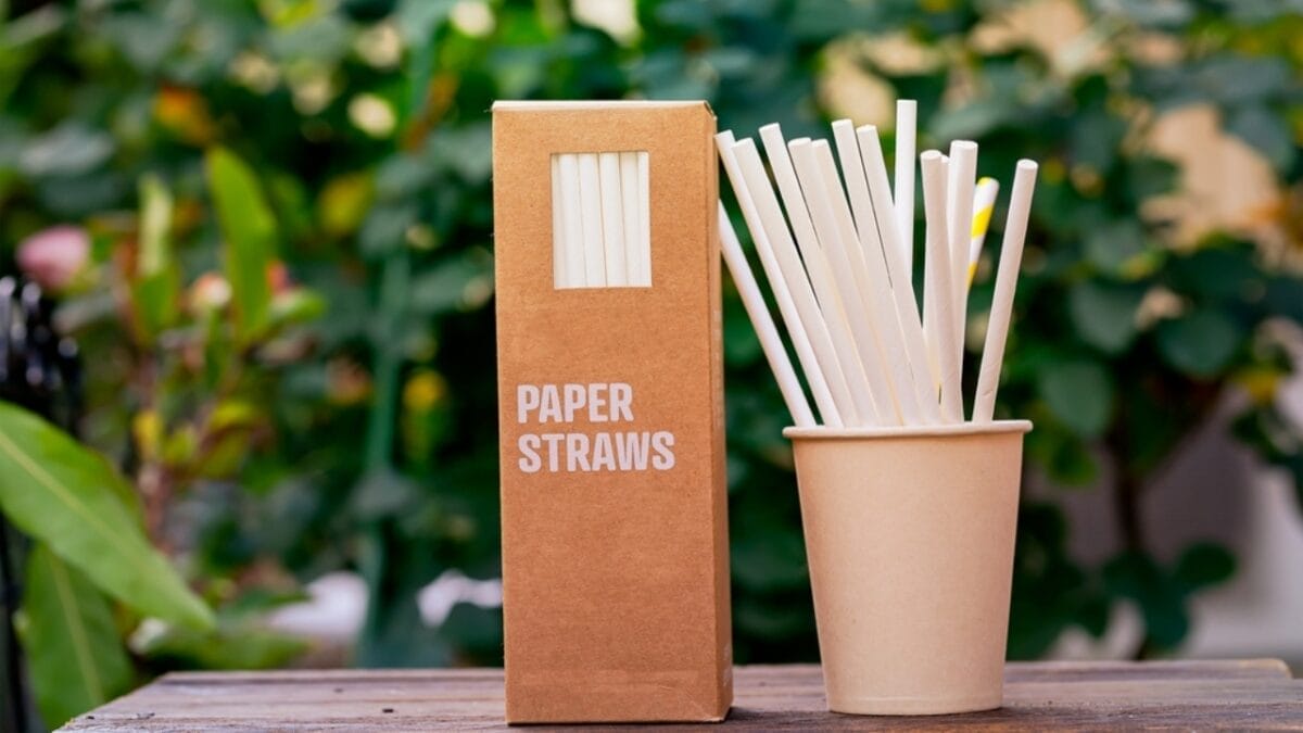 15 Things You Should Never Put Down Your Kitchen Drain - straw paper ss2259237123
