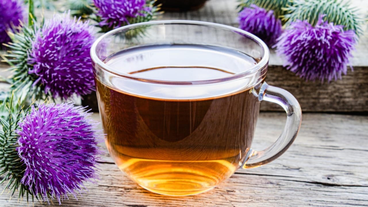 What Gardening Experts Know About Thistle That Others Don't - thistle tea ss1430190458