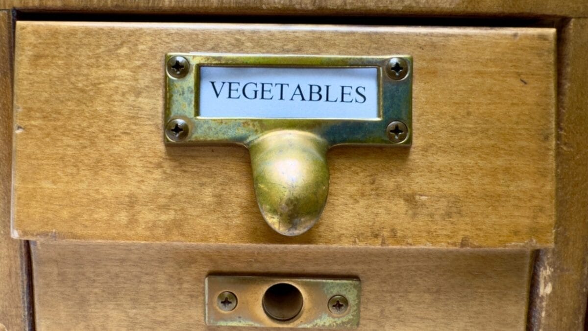 10 Savvy Ways to Grow Your Garden for Free - vegetable in drawer ss2462857329