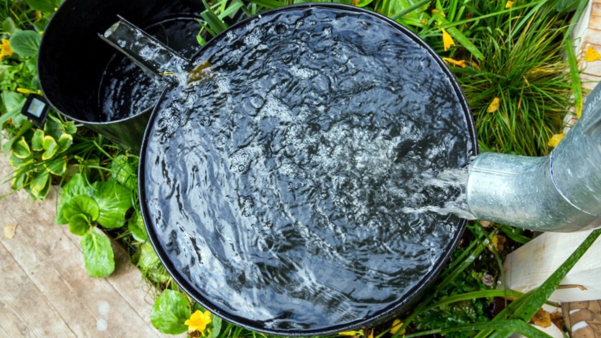 5 States Where Collecting Rainwater Might Get You in Trouble with the Law - water drum ss1836987133