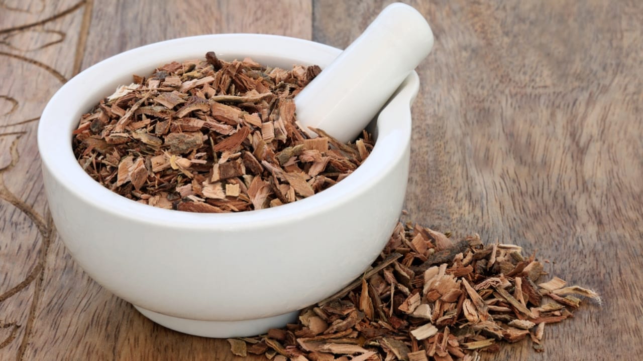 Crafting Aspirin from Willow Bark: An Ancient Pain Relief Remedy - willow bark herb ss743001046
