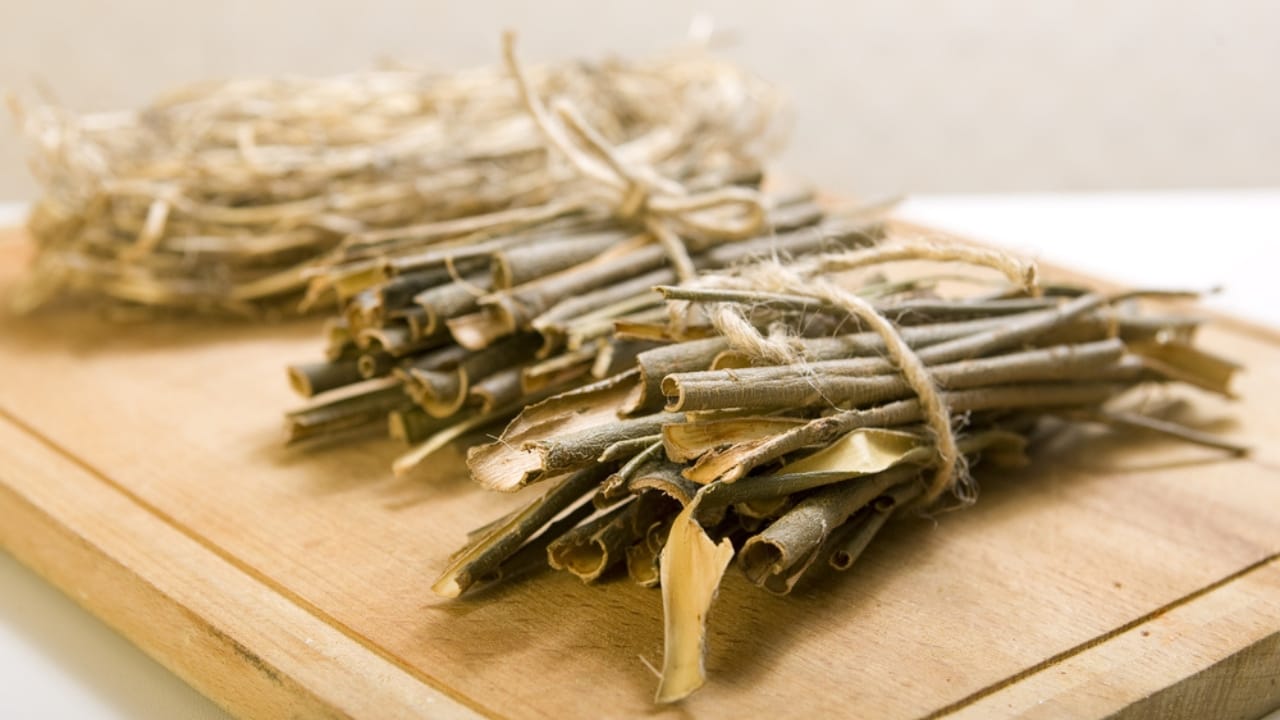 Crafting Aspirin from Willow Bark: An Ancient Pain Relief Remedy - willow bark plant ss194972453
