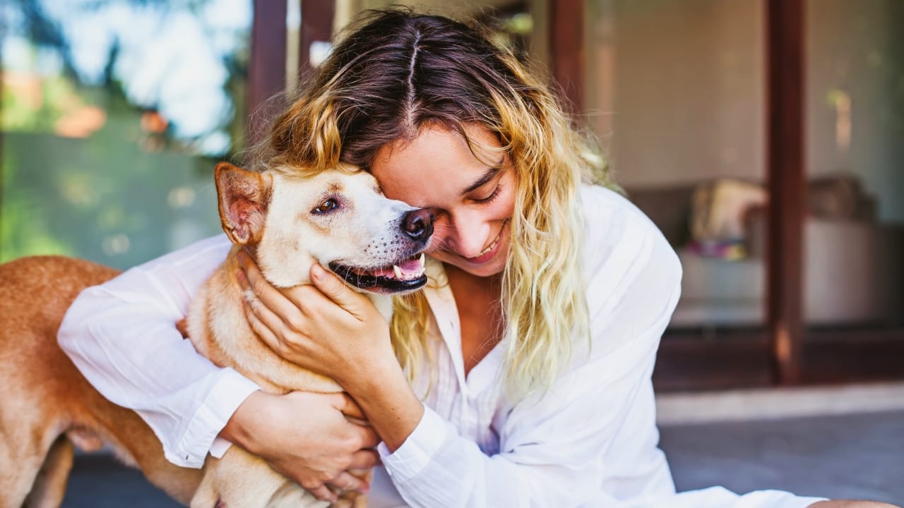 Dogs Can Smell Your Stress, Leading to Behavioral Changes, Study Shows - woman dog smelling ss1413445577