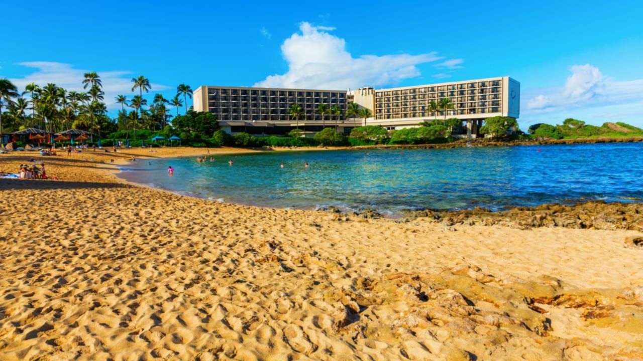 50 of the Best Dog-Friendly Hotels in the U.S. - Hawaii Turtle Bay Resort dp353498666