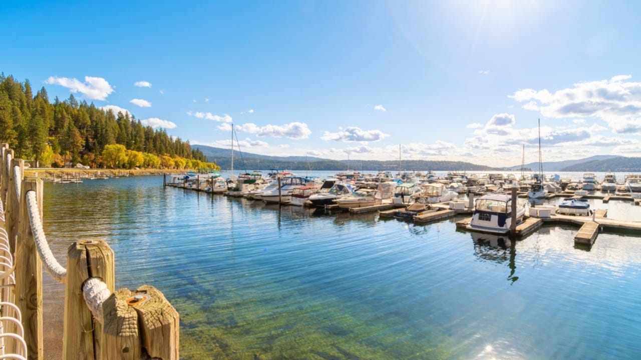 50 of the Best Dog-Friendly Hotels in the U.S. - Idaho The Coeur dAlene Resort ss2494443695