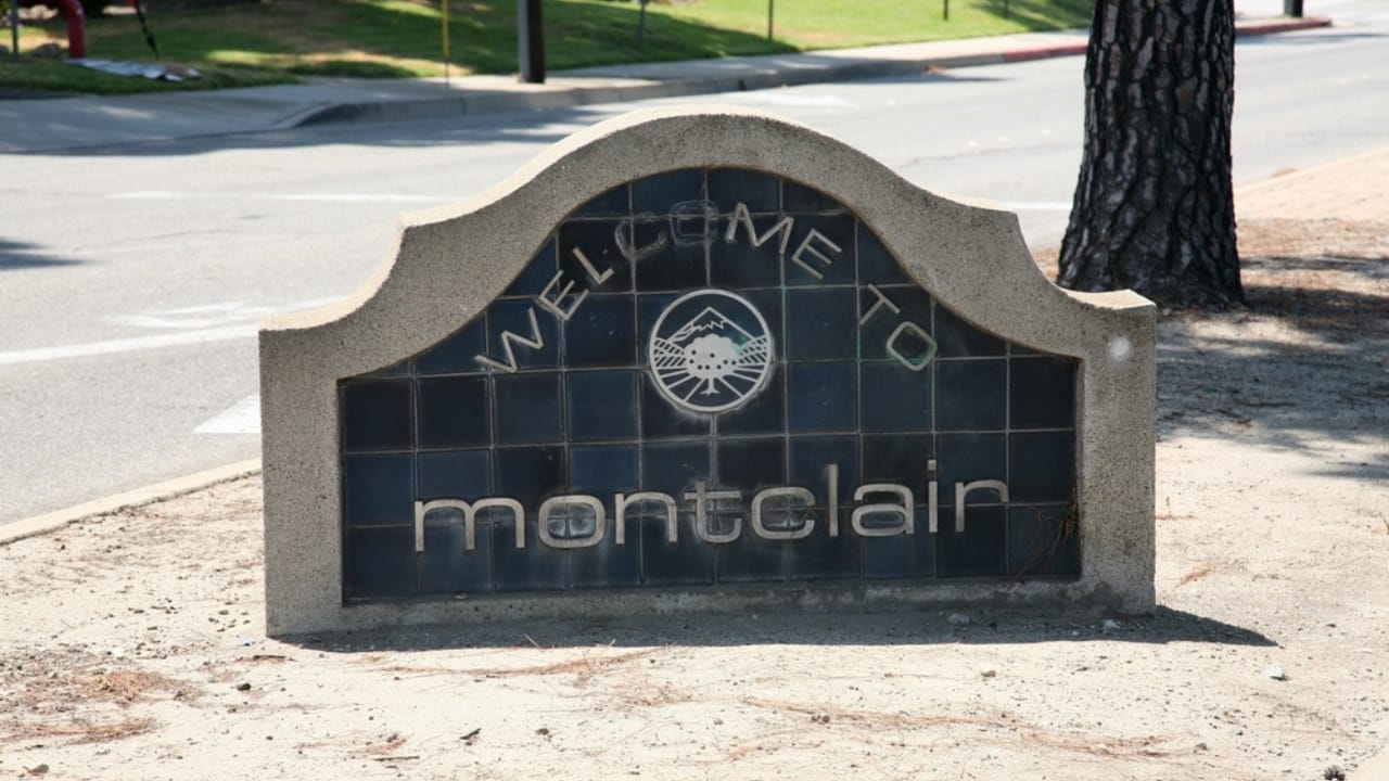 50 of the Best Dog-Friendly Hotels in the U.S. - Montclair sign ss2495695707