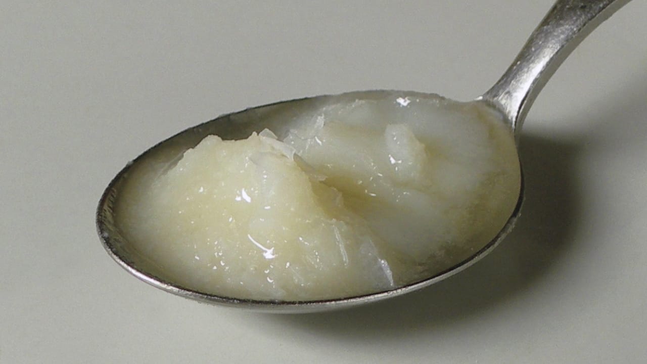 18 Once-Popular Cooking Ingredients You Don’t See Anymore - Schmaltz wc