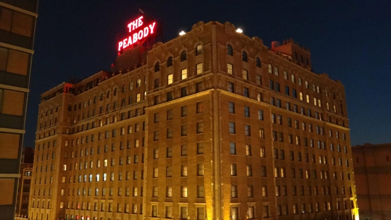 50 of the Best Dog-Friendly Hotels in the U.S. - The Peabody Memphis wc