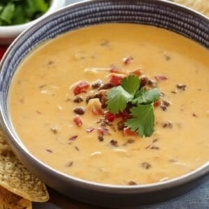 Be Ready for Game Day with the Slow Cooker Queso Dip Recipe - Two Ingredient Slow Cooker Queso Dip