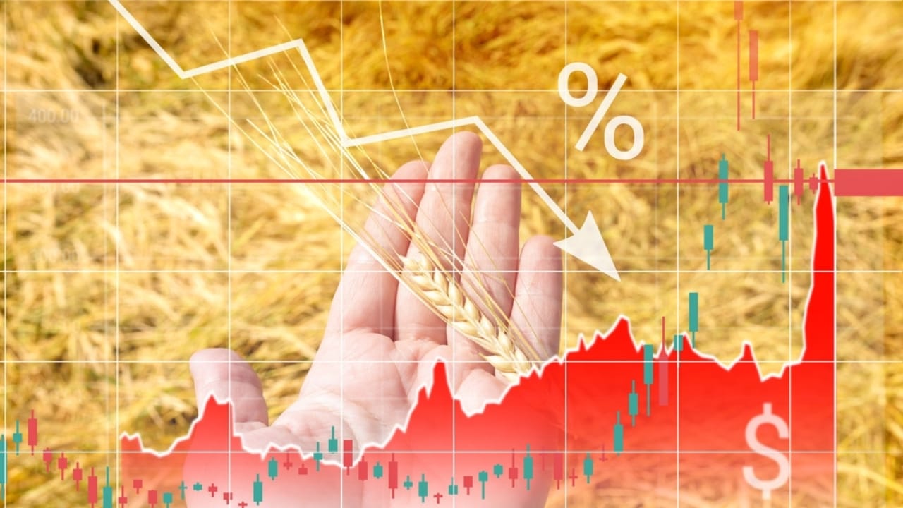 USDA Forecasts the Sharpest Decline in U.S. Farm Income in History - Wheat Falling Prices and Rising Costs ss2135915715