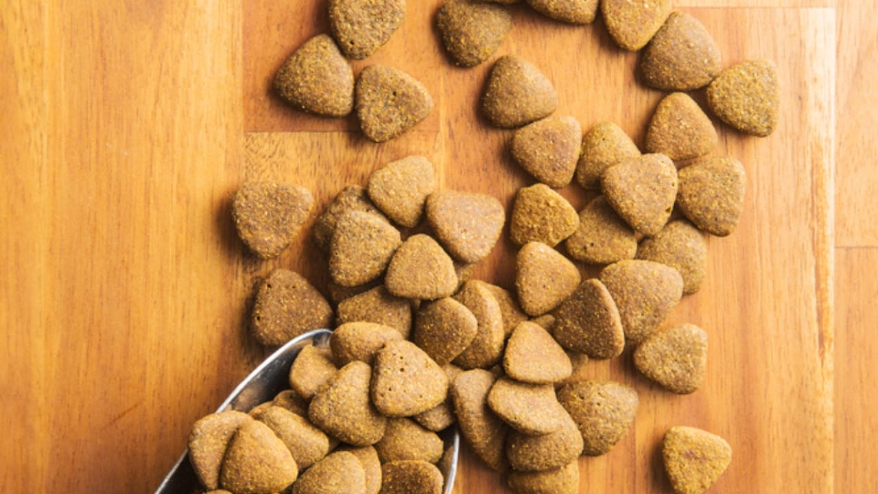Relax Your Anxious Dog with These 15 Calming Treats - calming treats dp168188384