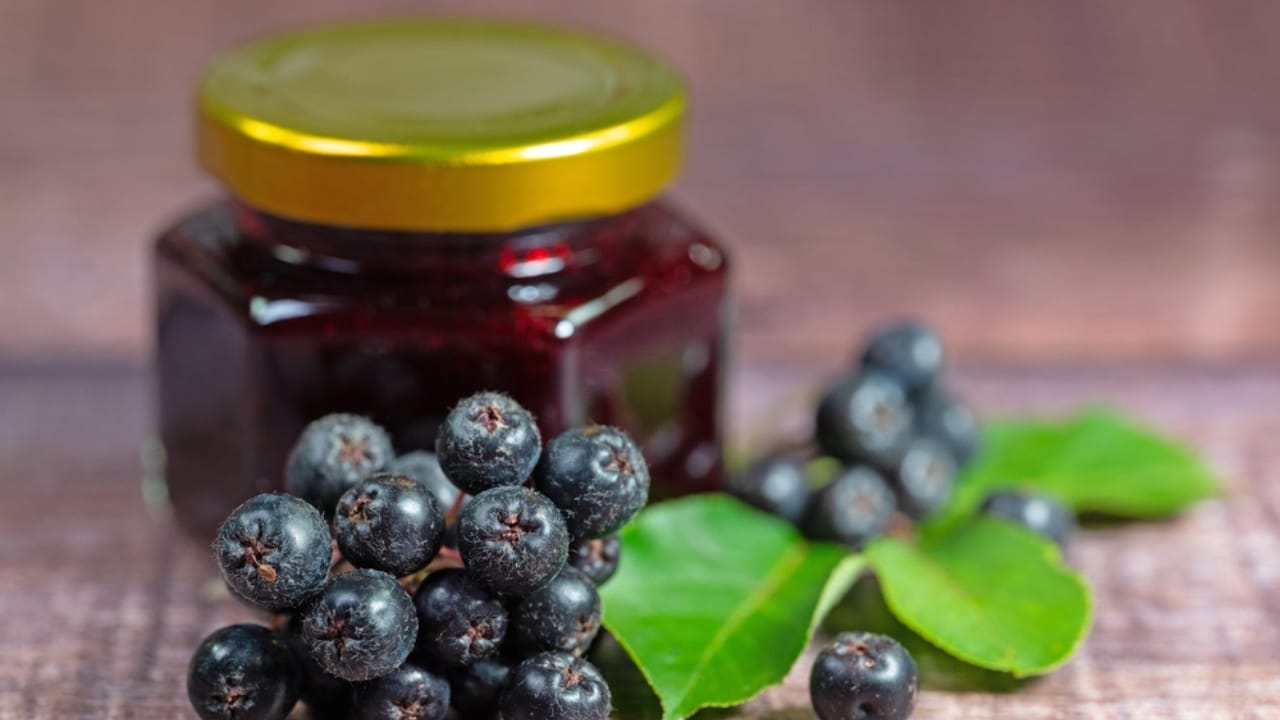 The Sweet & Versatile Wojapi Sauce: A Hidden Gem of Native American History - choke berries and choke berry jam in jar ss2374808475