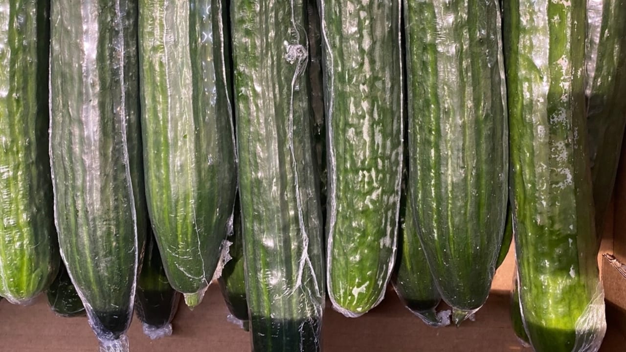 Why Cucumbers are Wrapped in Plastic—and Why it’s a Good Thing - cucumber wrapped in plastic ss2392568463