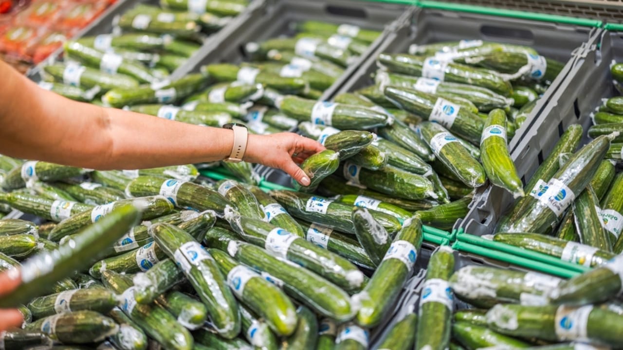 Why Cucumbers are Wrapped in Plastic—and Why it’s a Good Thing - cucumber wrapped in vacuum plastic packaging ss2476461345