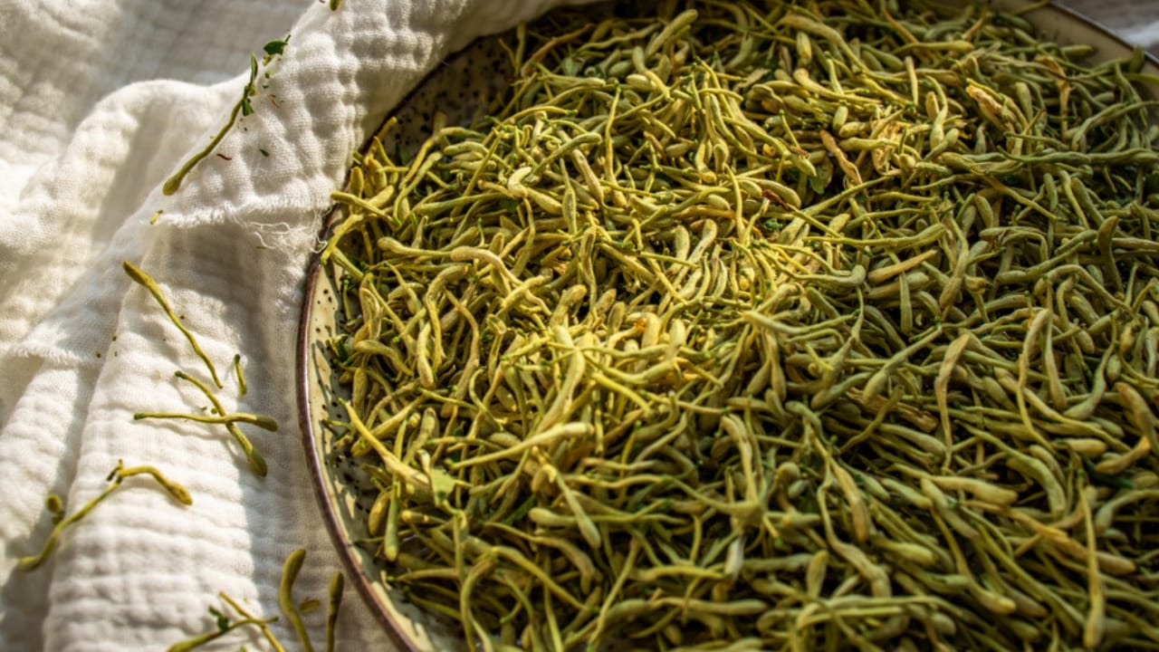 The Power of Honeysuckle: Exploring Its Edible & Medicinal Potential - dried honeysuckle flower tea ss1633627078