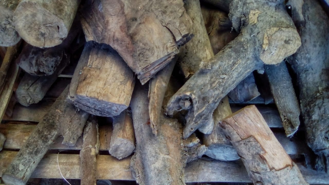Think Twice Before Stacking Wood Against Your Home—Here’s Why - firewood rotting ss2271475311