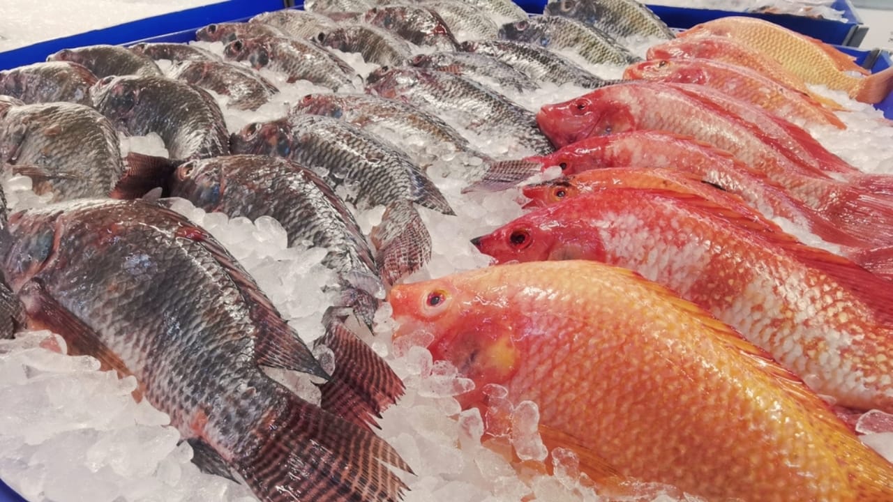 15 Foods in Your Fridge That Spoil Faster Than You Think - fresh fish ss2471023839