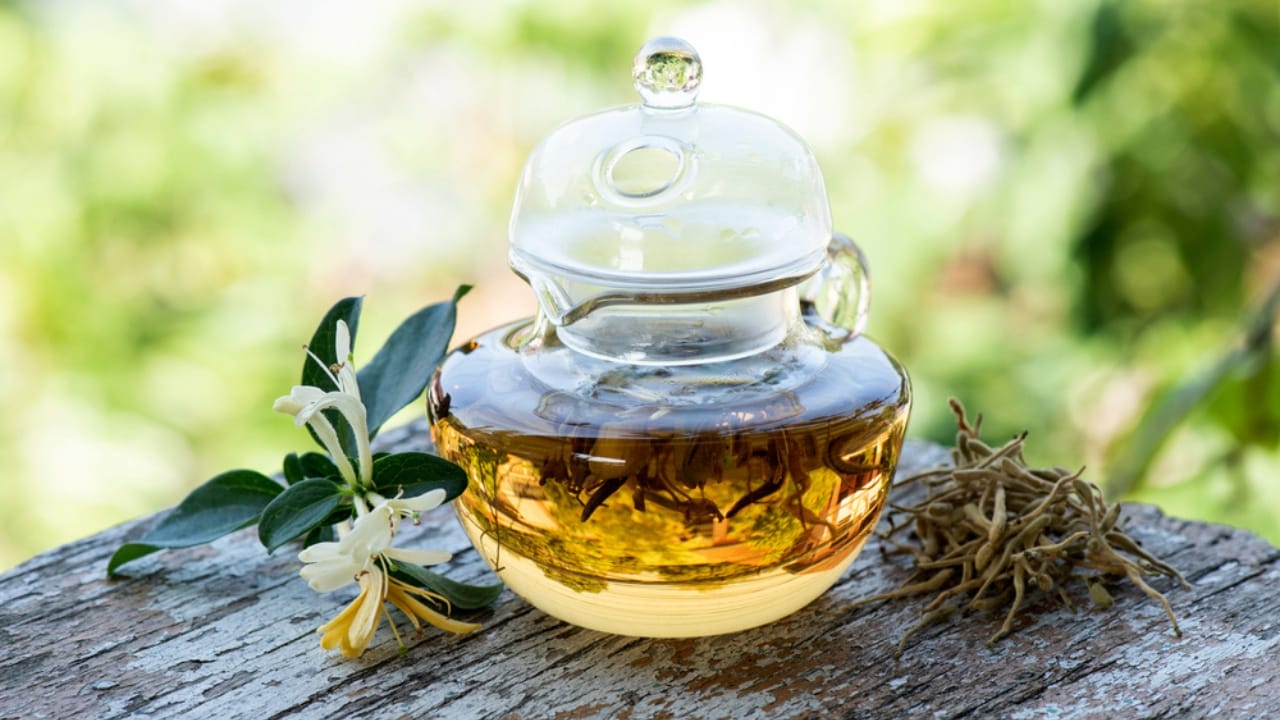 The Power of Honeysuckle: Exploring Its Edible & Medicinal Potential - honeysuckle flower tea ss1884964684