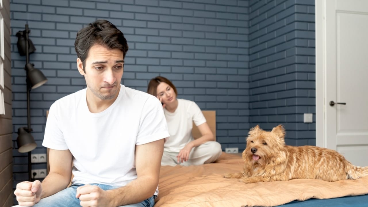 8 States That Put Dogs' Best Interests First in Divorce Proceedings - man woman and dog ss2308714187