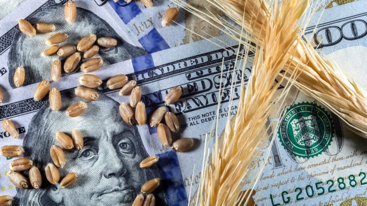 USDA Forecasts the Sharpest Decline in U.S. Farm Income in History - money wheat ss1942923427