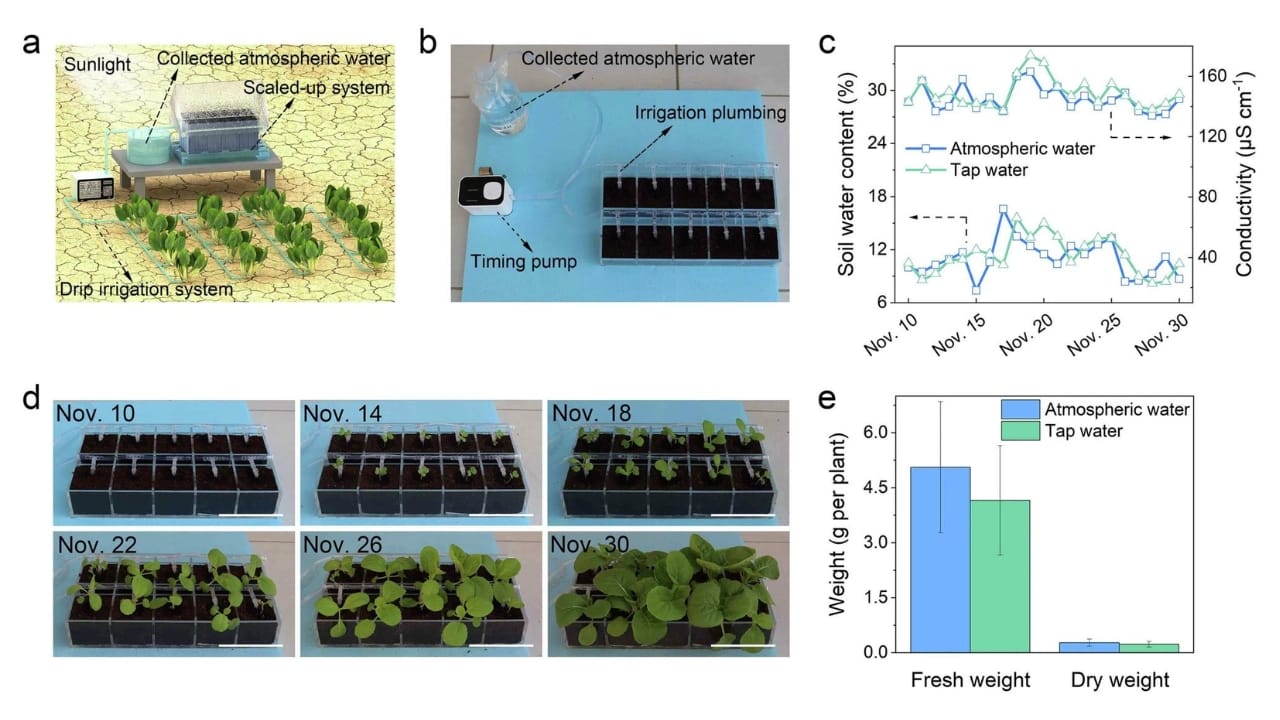 New Solar Drought-Busting Tech Extracts 3 Liters of Water Daily from Thin Air - nature study