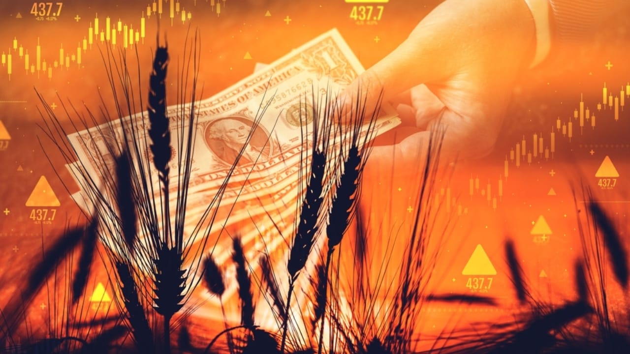 USDA Forecasts the Sharpest Decline in U.S. Farm Income in History - wheat commodity price increase ss2169824193
