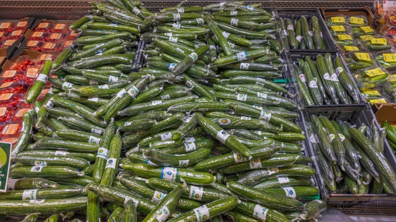 Why Cucumbers are Wrapped in Plastic—and Why it’s a Good Thing - wrapped cucumbers ss2148868153