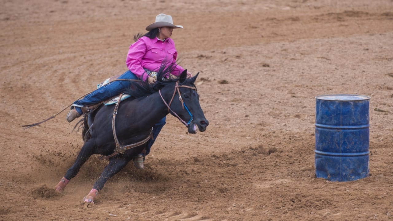 50+ Horse Terms & Slang Every Equestrian Should Know - Barrel horse woman riding race dp31494675
