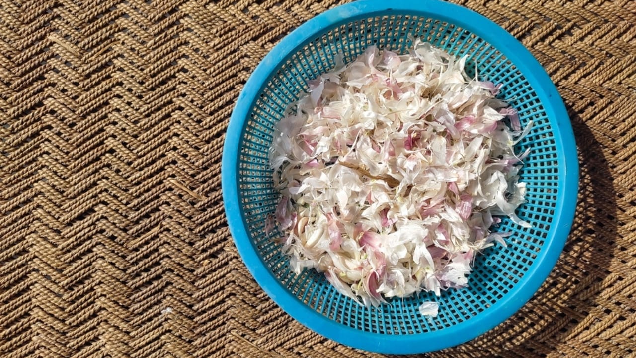 Improve Your Skin Naturally by Adding Garlic to Your Skincare Routine - Garlic Skin ss2414213821
