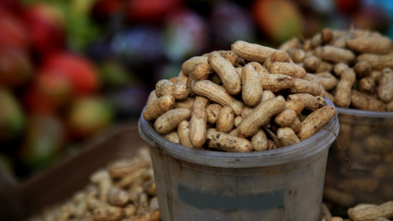 The Forgotten Superfood That Saved the Pilgrims - Groundnut dp497070088