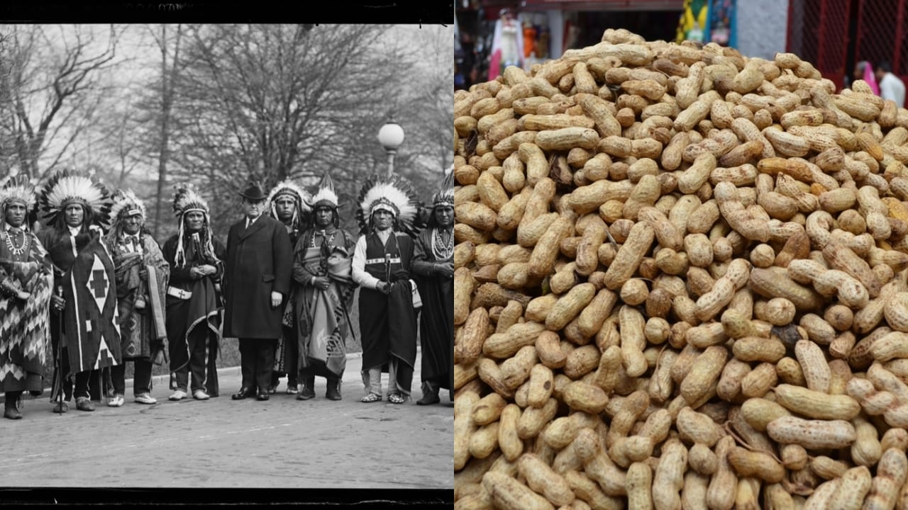 The Forgotten Superfood That Saved the Pilgrims - Native Americans wc groundnut ss2489493897