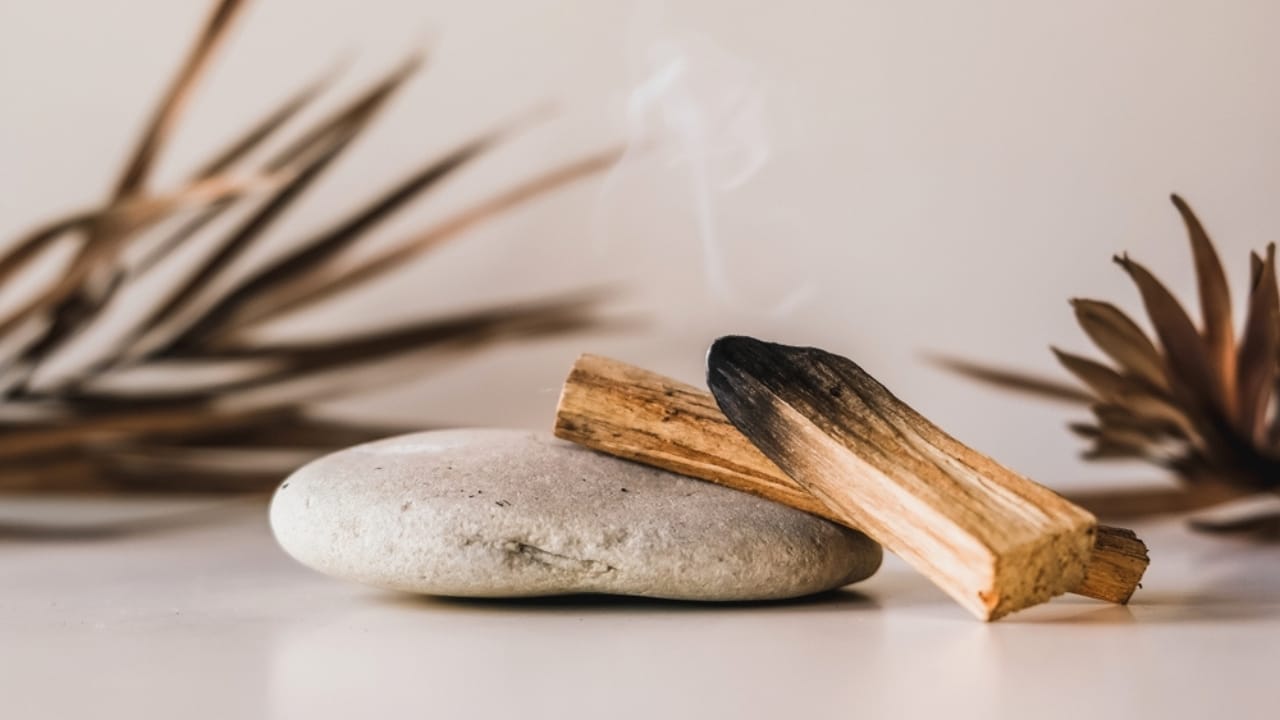 13 Plants with Deep Spiritual Meaning in Native American Cultures - Palo Santo sticks ss2385569149