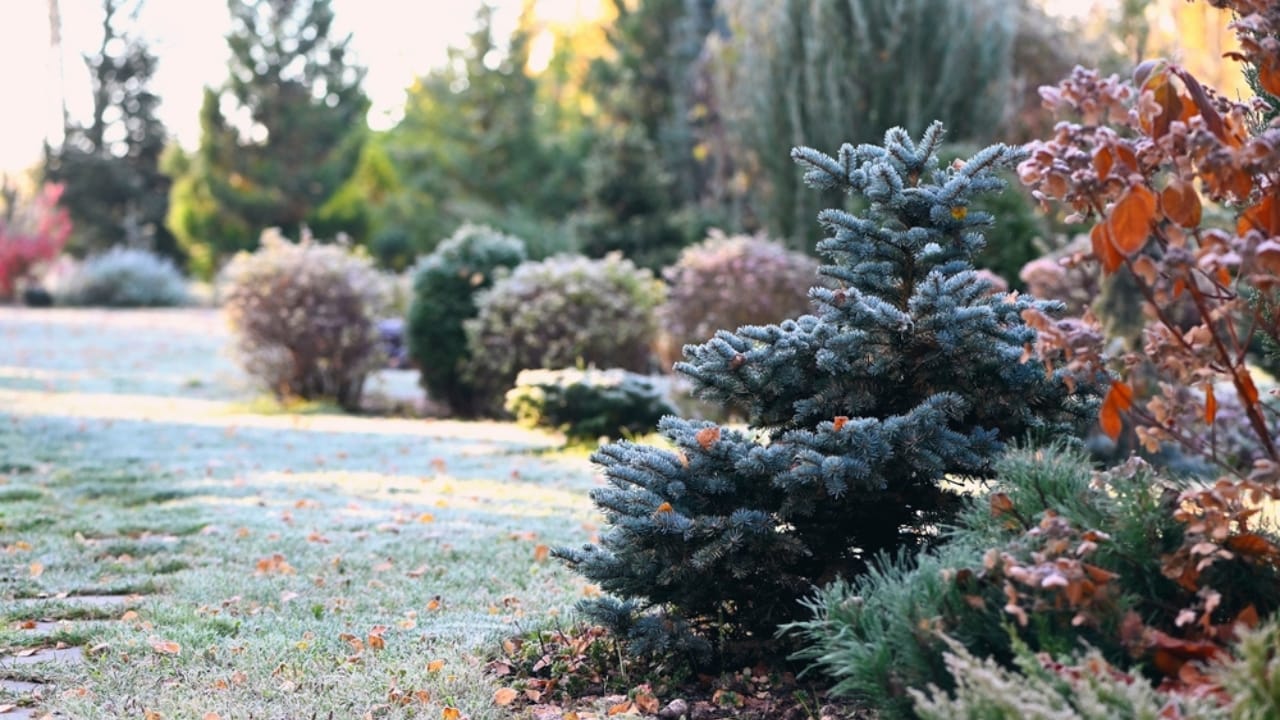 15 Ways to Get Your Garden Frost-Ready Before It’s Too Late - autumn garden view ss2366524009