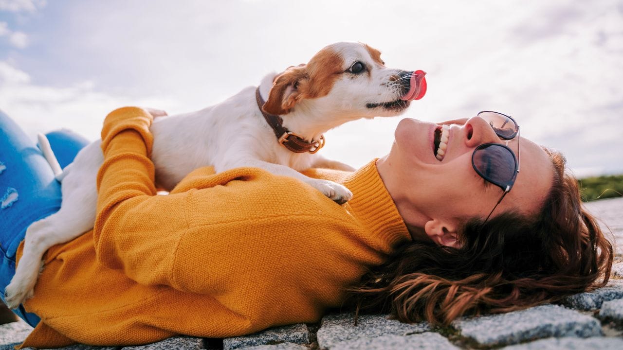 15 Dog Behaviors You’re Probably Misunderstanding - dog licking face ss1829212376