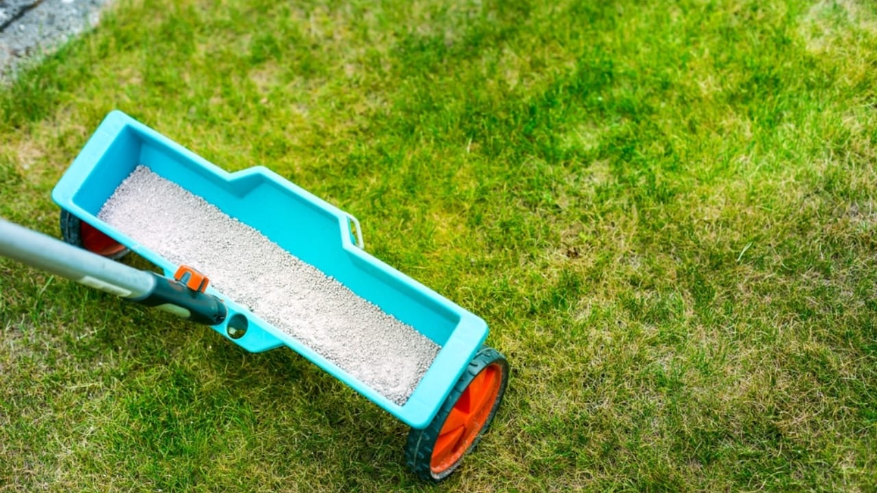15 Ways to Get Your Garden Frost-Ready Before It’s Too Late - fertilize lawn ss2167229393