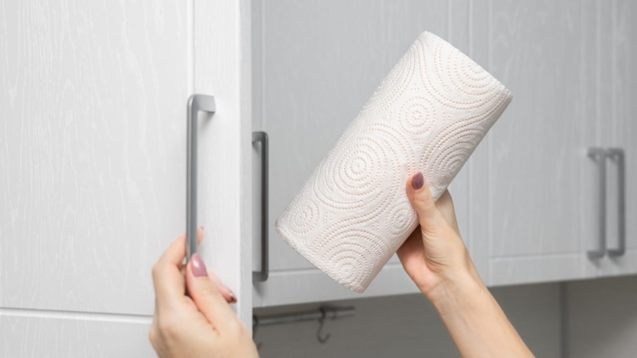 Coffee Filters in Plant Pots... Here's Why It Works - getting paper towel in hanging cabinet ss2431849791