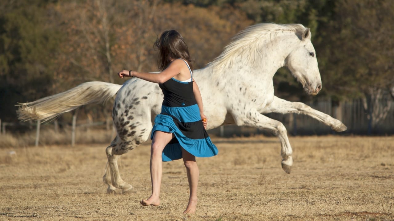 The 10 Worst Horse Breeds for Beginner Riders - horse rider ss108896231