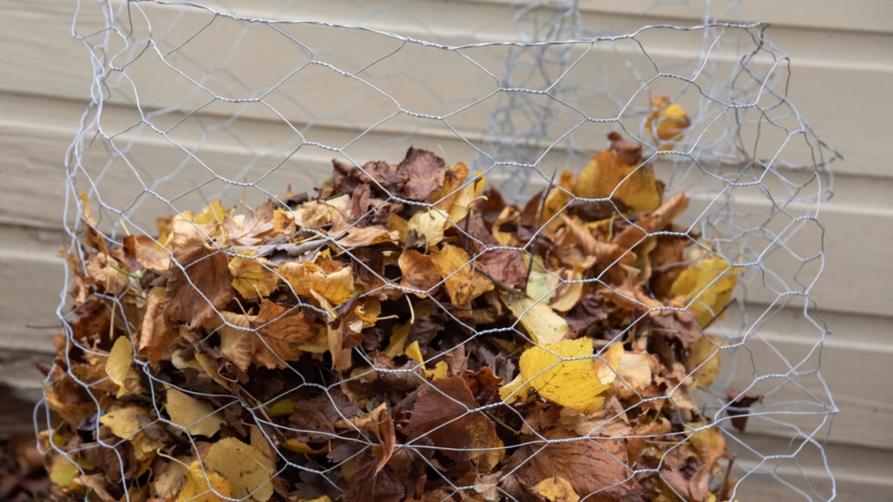 13 Simple Leaf-Recycling Ideas for a Flourishing Garden - leaf bin storage ss1857126580